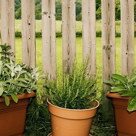 Garni Milseburg 3* Hilders