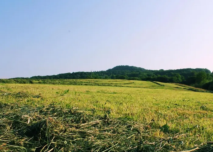 Garni Milseburg Hilders